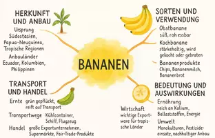 Vorschau - Arbeitsblätter - Arbeitsblätter zum Thema "Bananen" + Lösung & MP3 + Mindmap + Infografik - Seite 2