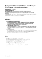 Vorschau - Arbeitsblätter - Klausur - Evolution, Bären, Panda, Stammbaum, Phylogenie - Deckblatt
