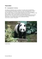 Vorschau - Arbeitsblätter - Klausur - Evolution, Bären, Panda, Stammbaum, Phylogenie - Seite 1