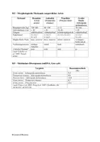 Vorschau - Arbeitsblätter - Klausur - Evolution, Bären, Panda, Stammbaum, Phylogenie - Seite 2
