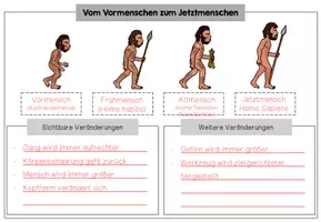 Vorschau - Arbeitsblätter - Entwicklung des Menschen (Vormenschen zum Jetztmenschen) - Seite 3