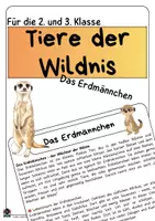 Vorschau - Stundenentwürfe - Materialpaket: Tiere der Wildnis / Zootiere - Sachtexte / Lesetexte und Aufgaben zu 13 Tieren - Seite 1