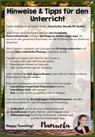 Vorschau - Unterrichtsreihen - Metallzeiten Materialpaket - Bronzezeit, Eisenzeit, Kelten, Germanen & Himmelsscheibe von Nebra - Seite 2
