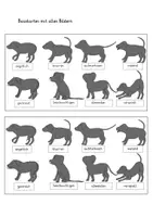 Vorschau - Spiele - Beobachtungs- und Reaktionsspiel "Körpersprache des Hundes" - Seite 1