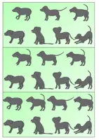 Vorschau - Spiele - Beobachtungs- und Reaktionsspiel "Körpersprache des Hundes" - Seite 2