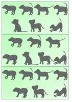 Vorschau - Spiele - Beobachtungs- und Reaktionsspiel "Körpersprache des Hundes" - Seite 3