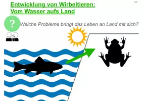 Vorschau - Stundenentwürfe - Unterrichtsentwurf_Wirbeltiere:Entwicklung vom Wasser aufs Land - Seite 2