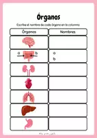 Vista previa - Tarjetas / Manipulativos - PACK CUERPO HUMANO - página 2
