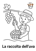 anteprima - Programmi scolastici / Materiali per docenti - Dall'uva al vino - Pagina 3