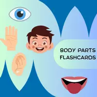 Aperçu - Matériel pour travaux manuels / dessin - Body Parts Flashcards - Page de couverture