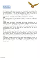 Vorschau - Spiele - Quidditch im Sportunterricht - Erklärung und Rollenkarten - Seite 2