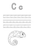 Vorschau - Arbeitsblätter - Buchstabenblätter zum Alphabet (mit Schreibübung) - Seite 3
