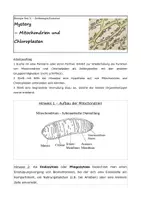 Vorschau - Arbeitsblätter - Mystery zur Endosymbiontentheorie - Deckblatt