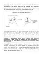 Vorschau - Arbeitsblätter - Mystery zur Endosymbiontentheorie - Seite 1