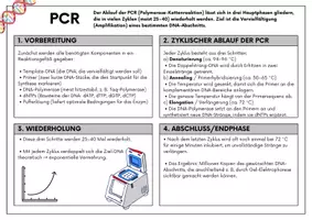 Vorschau - Stundenentwürfe - Legemodell PCR (Gentechnik) - Seite 1