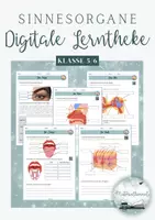 Vorschau - Arbeitsblätter - Sinnesorgane - Arbeitsblätter (Lerntheke, Stationsarbeit) - Deckblatt