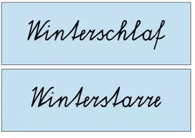 Vorschau - Bildkarten - Tiere im Winter - Wort- & Bildkarten - Seite 1