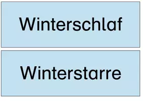 Vorschau - Bildkarten - Tiere im Winter - Wort- & Bildkarten - Seite 3