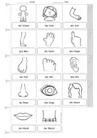 anteprima - Esercizi - Deutsch/DaZ/SU - Mein Körper - Miniwörterbuch (Leporello), Sprachförderung, Freiarbeit (Mini-vocabolario: "il mio corpo") - Pagina 2