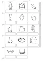 anteprima - Esercizi - Deutsch/DaZ/SU - Mein Körper - Miniwörterbuch (Leporello), Sprachförderung, Freiarbeit (Mini-vocabolario: "il mio corpo") - Pagina 3