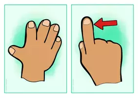 anteprima - Flashcard - Englisch/Deutsch/DaZ - body/Körper - Bildkarten/flashcards - Pagina 3