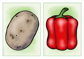 anteprima - Flashcard - Englisch/Deutsch/DaZ - vegetables - Gemüse - Flashcards - Bildkarten - Sprachförderung - Pagina 3