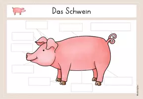 Vorschau - Stationenlernen - Bauernhoftiere: Material zum Legen oder Kletten - Seite 2