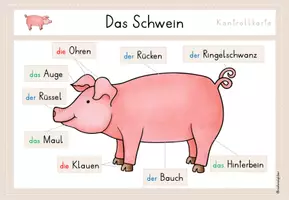 Vorschau - Stationenlernen - Bauernhoftiere: Material zum Legen oder Kletten - Seite 3