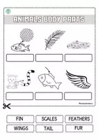 Vista previa - Refuerzo / NEE / Materiales de apoyo - Animals body parts. Unit: Living things - página 1