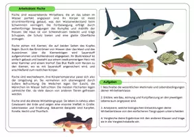 Vorschau - Stundenentwürfe - Gruppenpuzzle Wirbeltiere - Seite 1