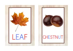 Vista previa - Tarjetas / Manipulativos - INGLÉS - Vocabulario letra MAYÚSCULA (otoño) - Portada
