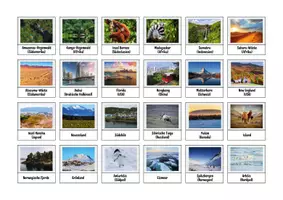 Vorschau - Spiele - Sortierspiel Klimazonen - Erdkunde Geografie - Seite 2