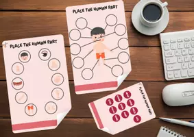 Vista previa - Juegos / Gamificación - Actividades para el cuerpo humano en ingles, actividades Montessori cuerpo humano ingles - página 1