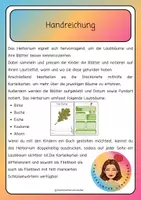 Vorschau - Arbeitsblätter - Herbarium mit Steckbriefen und Karteikarten - Seite 1