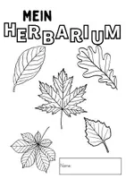 Vorschau - Arbeitsblätter - Herbarium mit Steckbriefen und Karteikarten - Seite 2