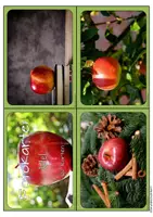 Vorschau - Bildkarten - Apfel Klasse 1 2 Fotokartei Sachunterricht - Seite 2
