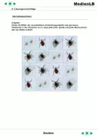 Vorschau - Arbeitsblätter - Zecken - Ergänzungen mit Lösungen - Seite 2