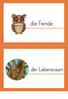 Vorschau - Arbeitsblätter - Differenzierte Arbeitsblätter - Eichhörnchen (über 120 Seiten) - Seite 3