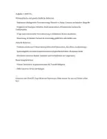Vorschau - Klassenarbeiten - Theodor Storm: Der Schimmelreiter – Klausurmaterial Deutsch SEK II mit ausführlichem Erwartungshorizont - Seite 3