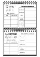 Vista previa - Hojas de trabajo - CUADERNO GRUPOS DE ANIMALES VERTEBRADOS - página 1