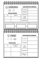 Vista previa - Hojas de trabajo - CUADERNO GRUPOS DE ANIMALES VERTEBRADOS - página 2