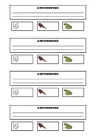 Vista previa - Hojas de trabajo - CUADERNO GRUPOS DE ANIMALES VERTEBRADOS - página 3