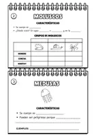 Vista previa - Hojas de trabajo - CUADERNO GRUPOS DE ANIMALES INVERTEBRADOS - página 1