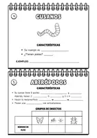 Vista previa - Hojas de trabajo - CUADERNO GRUPOS DE ANIMALES INVERTEBRADOS - página 2