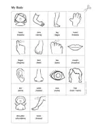 anteprima - Esercizi - English - My Body (Bundle: flashcards, word cards, mini pictures, worksheets, picture dictionary) - Pagina 3