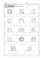 anteprima - Esercizi - English - My Body (Worksheets) - Pagina 3