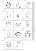 anteprima - Esercizi - English - My Body - picture dictionary (Leporello) - Pagina 3