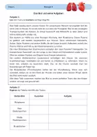Vorschau - Arbeitsblätter - Blut - Deckblatt