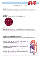 Vorschau - Arbeitsblätter - Blut - Seite 1