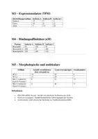 Vorschau - Arbeitsblätter - Klausur - Genetik - Genregulation, Splicing, Proteinvielfalt - Seite 3